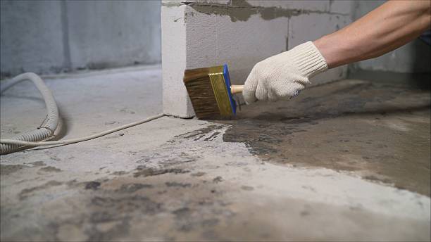SJ Waterproofing Pros Waterproofing coverage map for Pulteney, NY and surrounding area